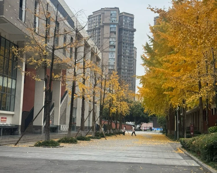艺人背景图