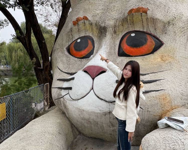 艺人背景图