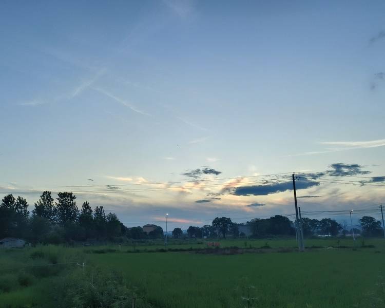 艺人背景图