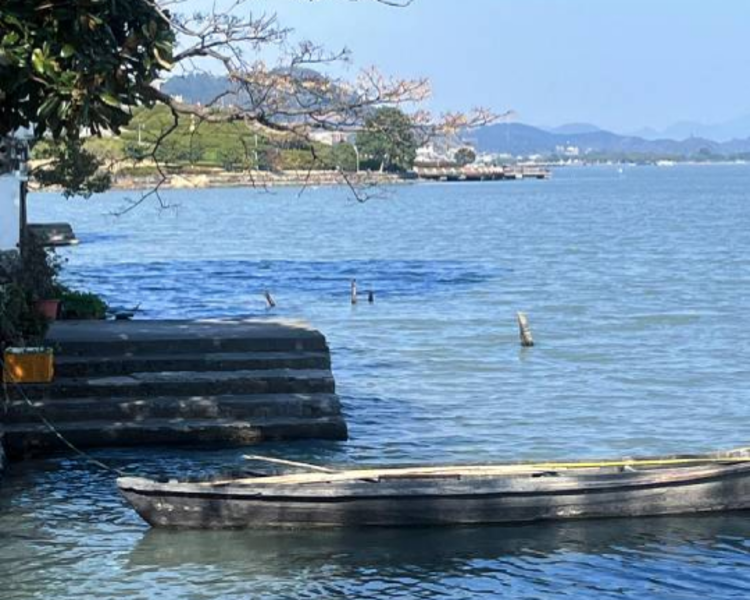 艺人背景图