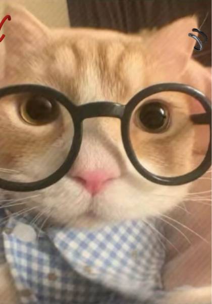 推荐艺人