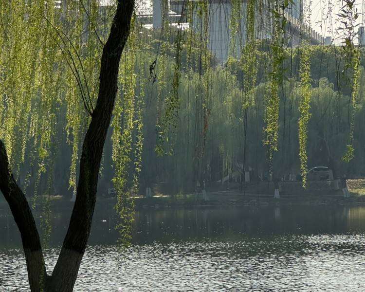 艺人背景图