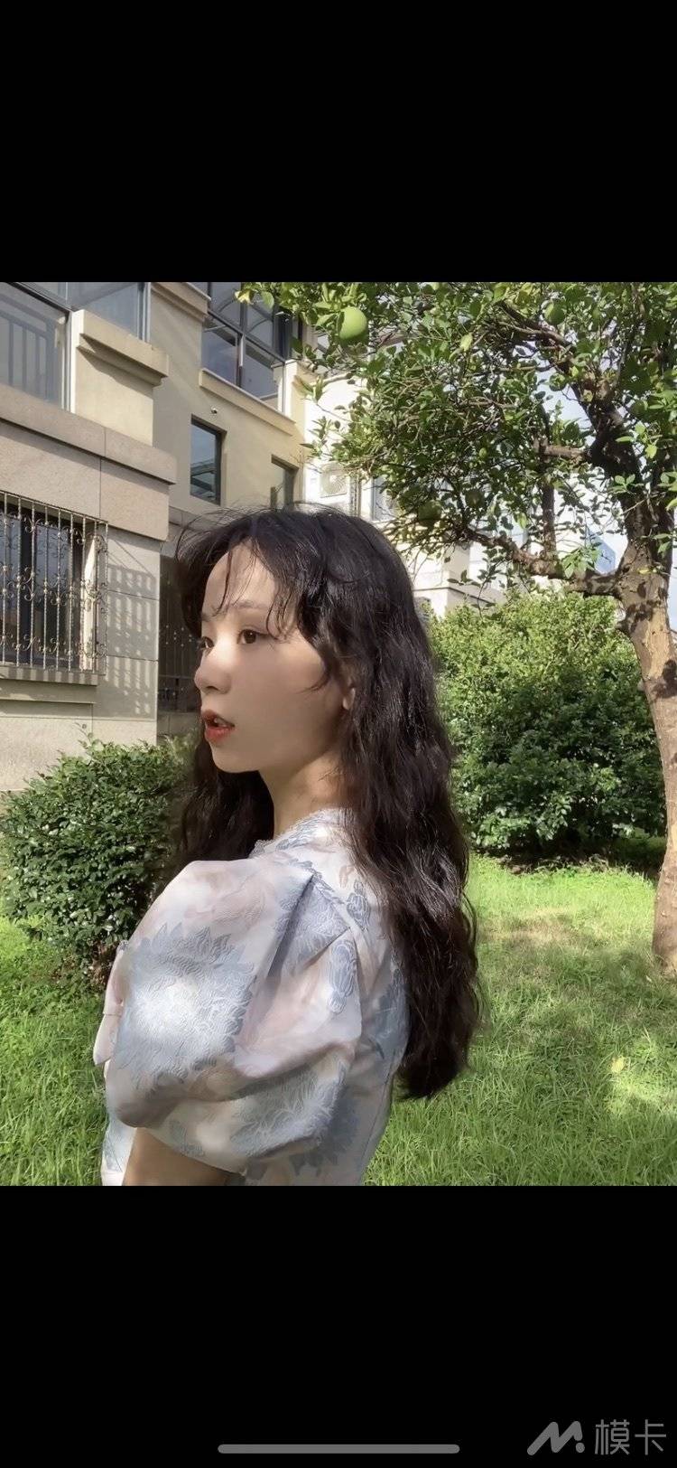 作品图片