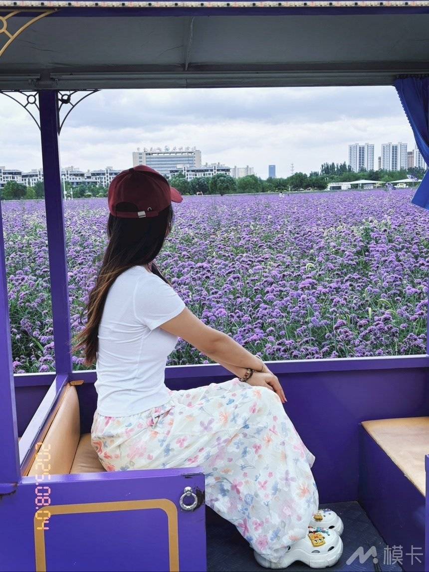 作品图片