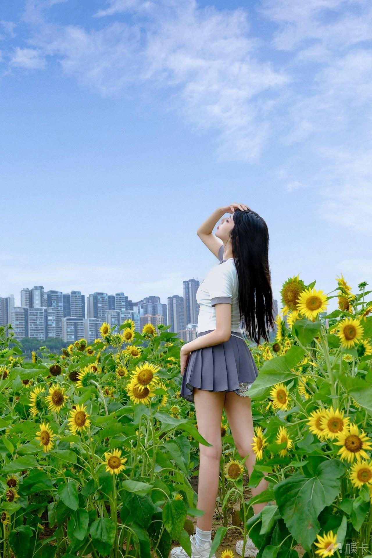 作品图片