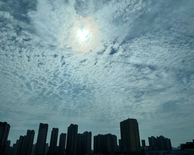 艺人背景图