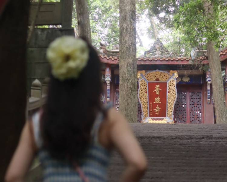 艺人背景图
