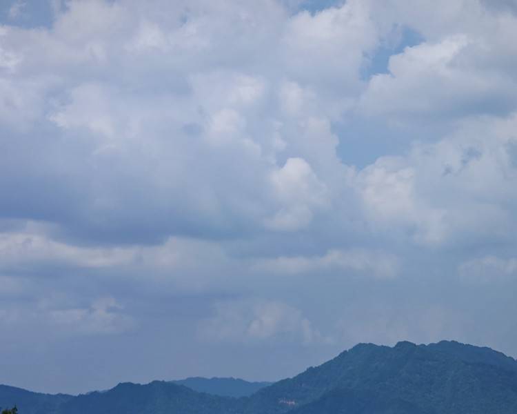 艺人背景图