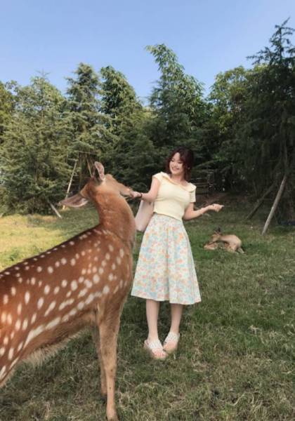 推荐艺人