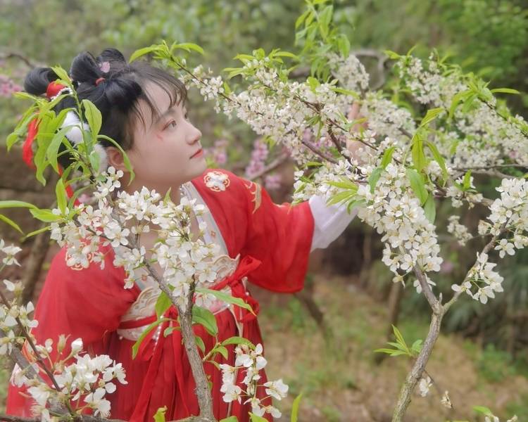 艺人背景图