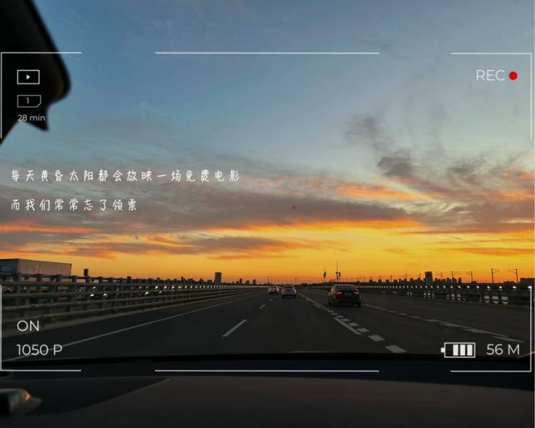 艺人背景图