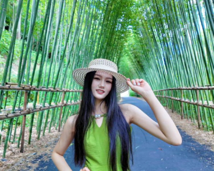 艺人背景图