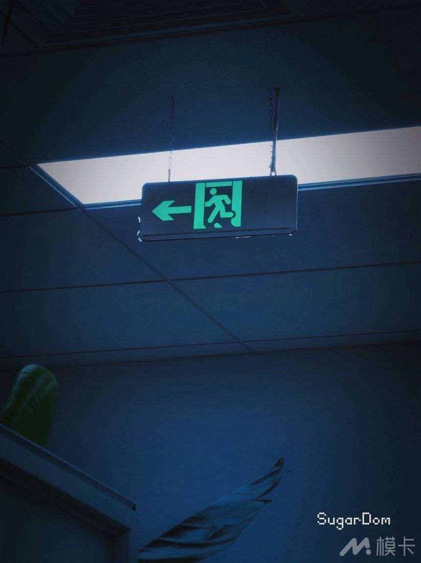 作品图片