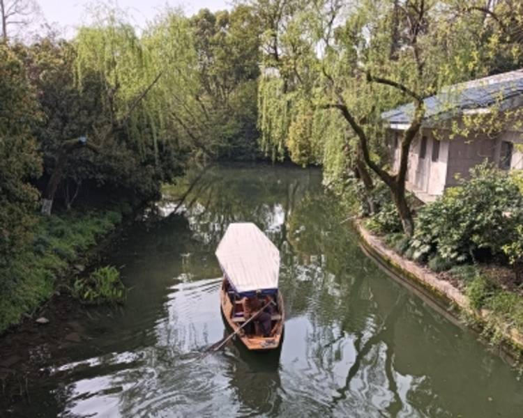 艺人背景图