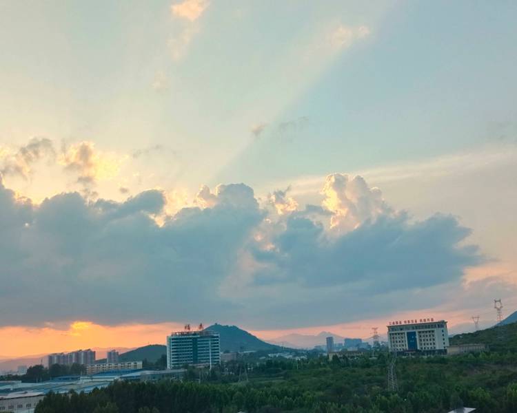 艺人背景图