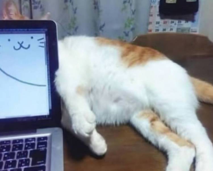 艺人背景图