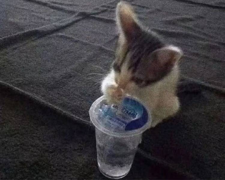 艺人背景图