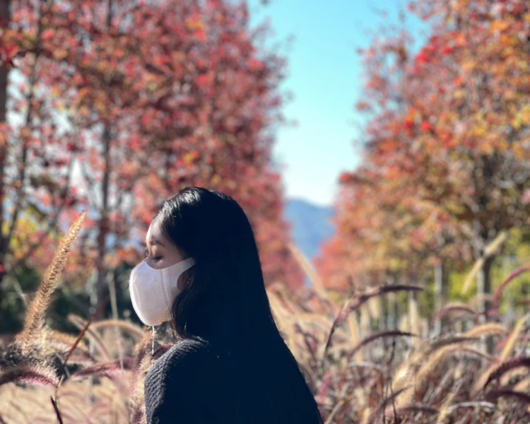 艺人背景图
