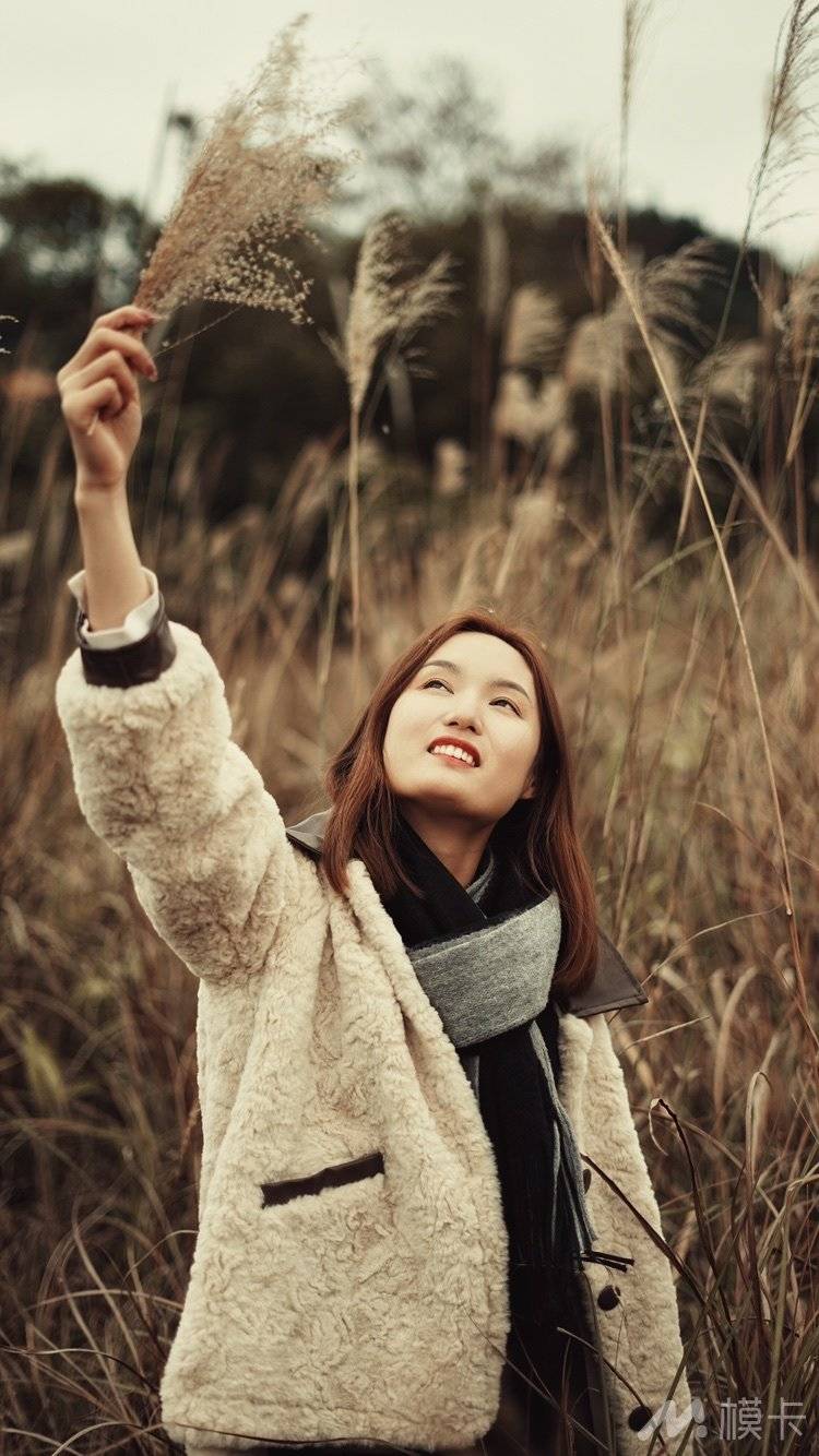 作品图片