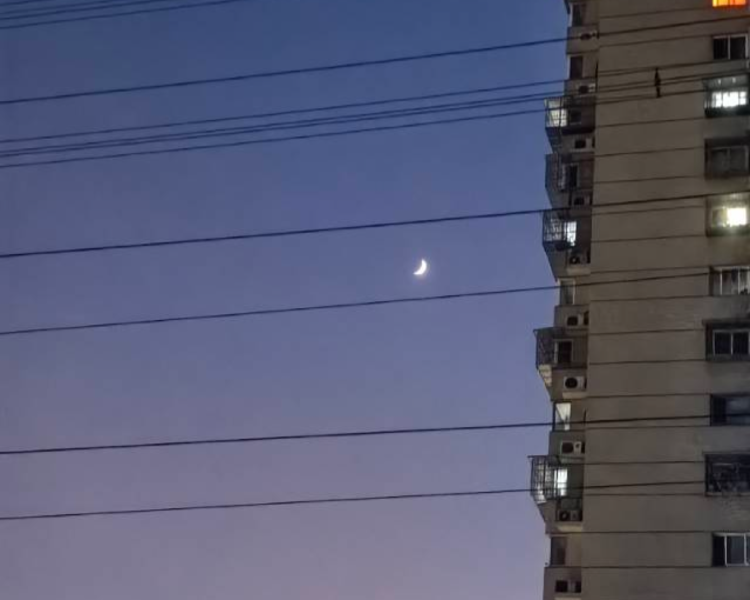 艺人背景图