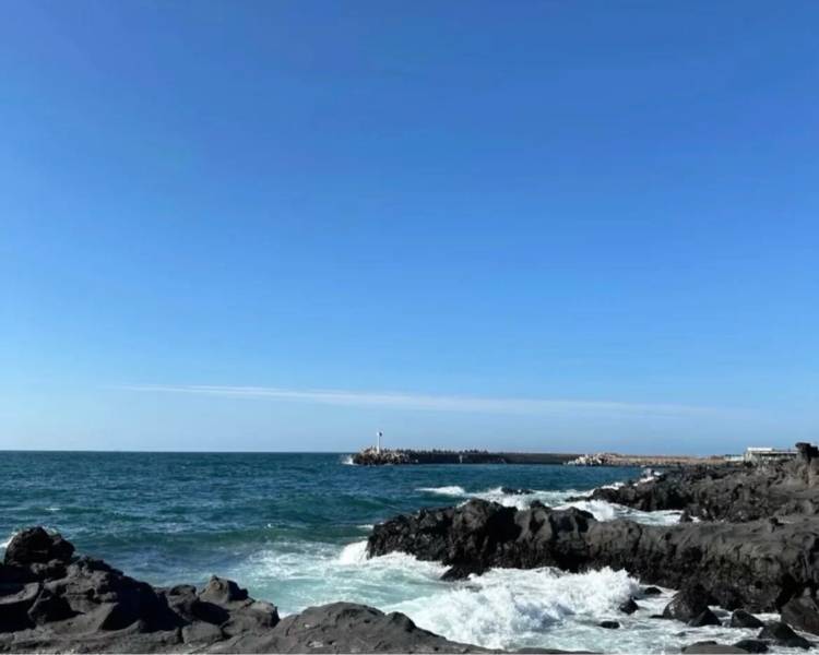艺人背景图
