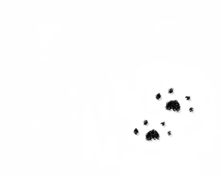 艺人背景图