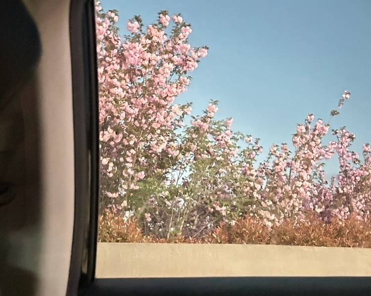 艺人背景图