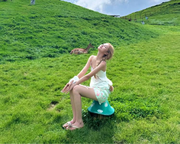 艺人背景图