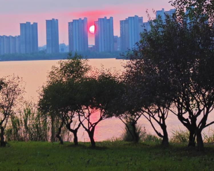 艺人背景图