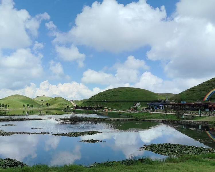 艺人背景图