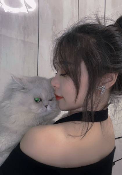 推荐艺人