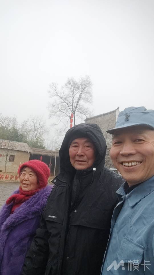 作品图片