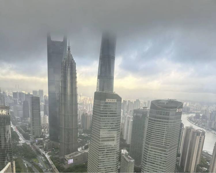 艺人背景图