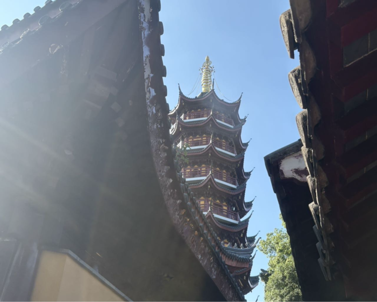 艺人背景图