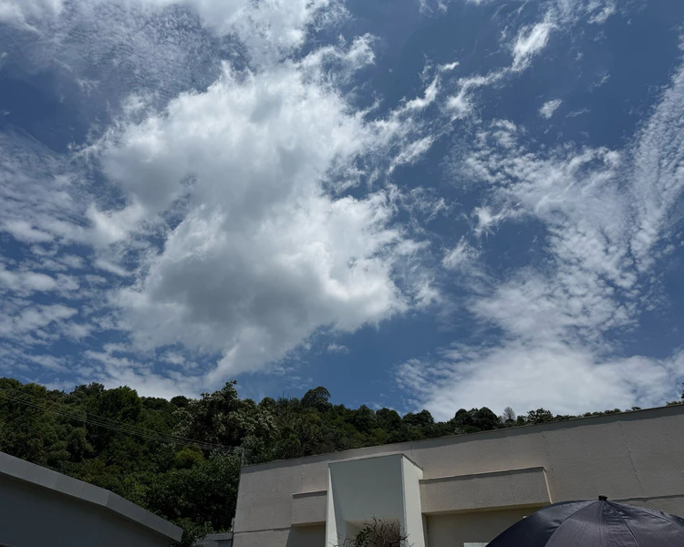 艺人背景图