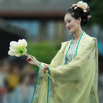 经历图片