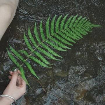 麦田里听风吹的微模卡作品