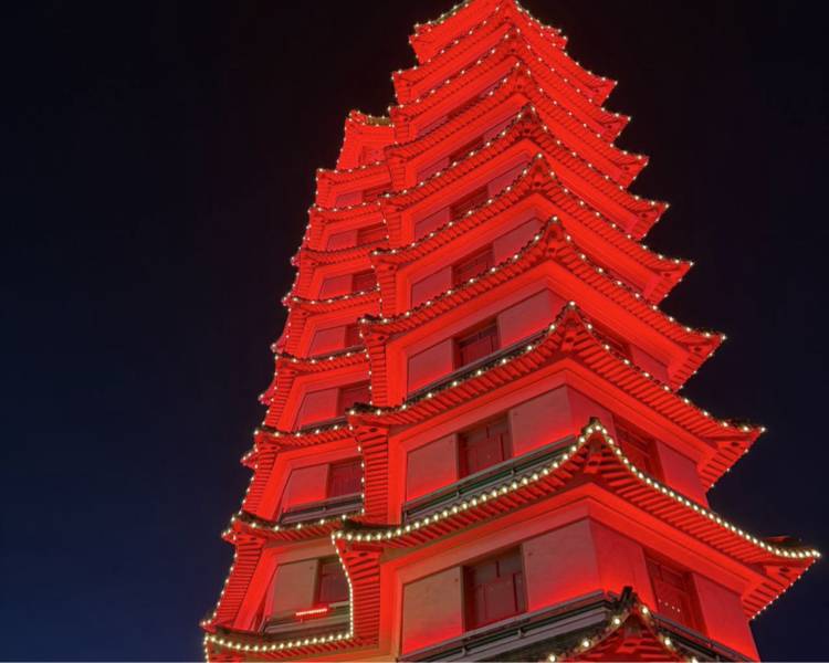 艺人背景图