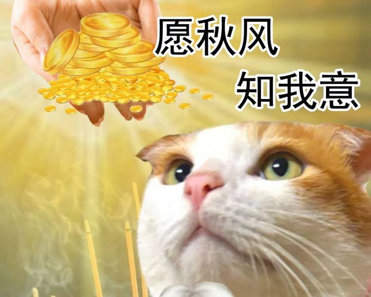 艺人背景图