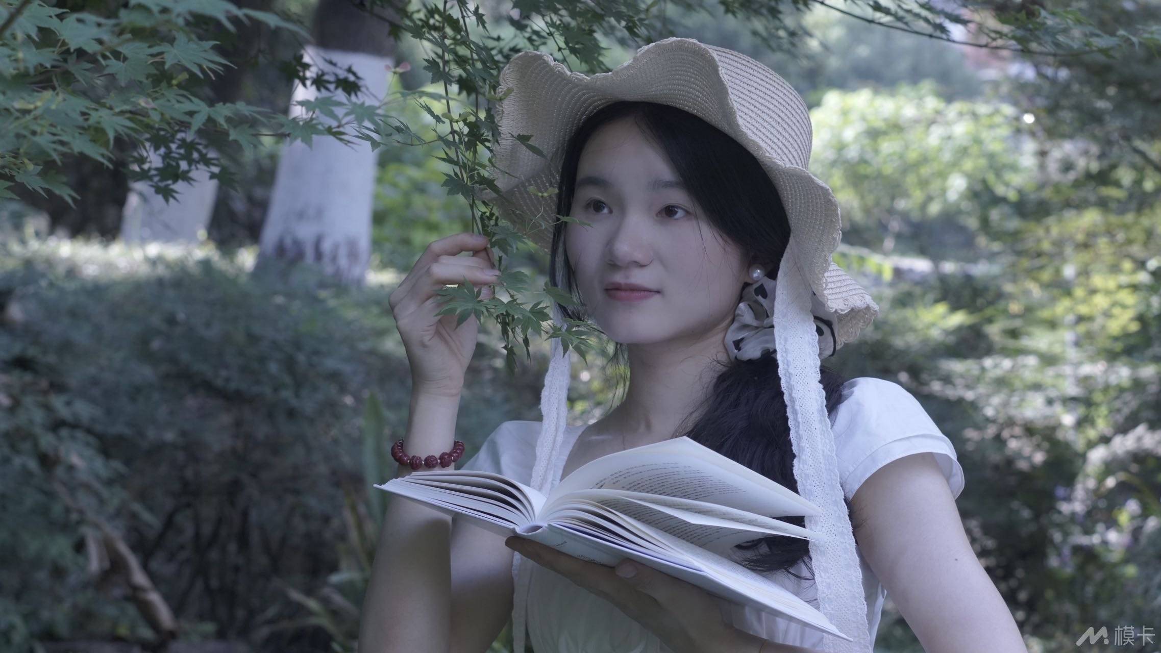 作品图片