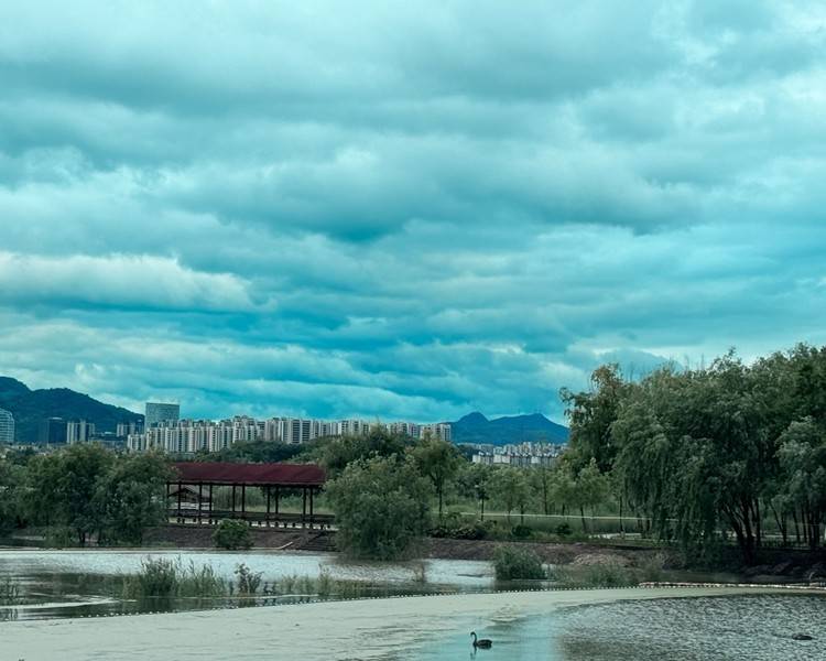 艺人背景图