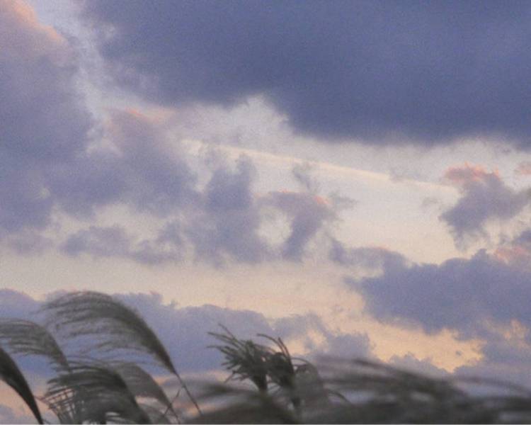 艺人背景图