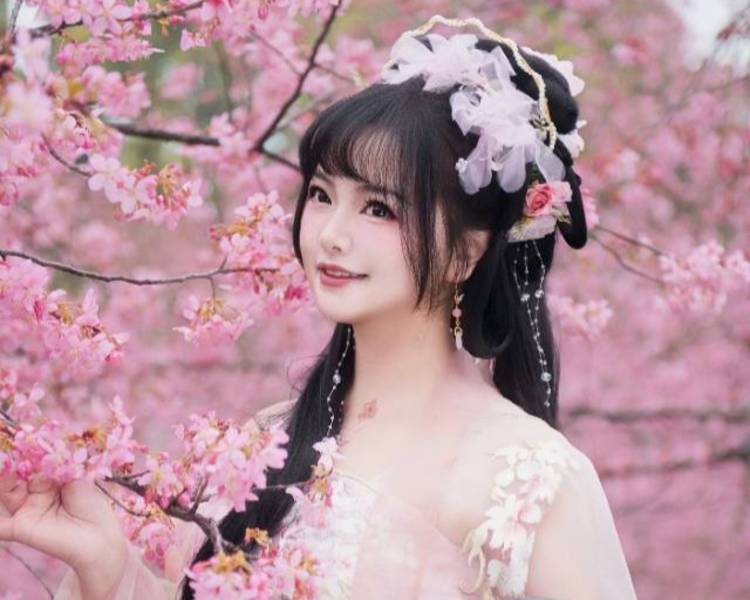 艺人背景图