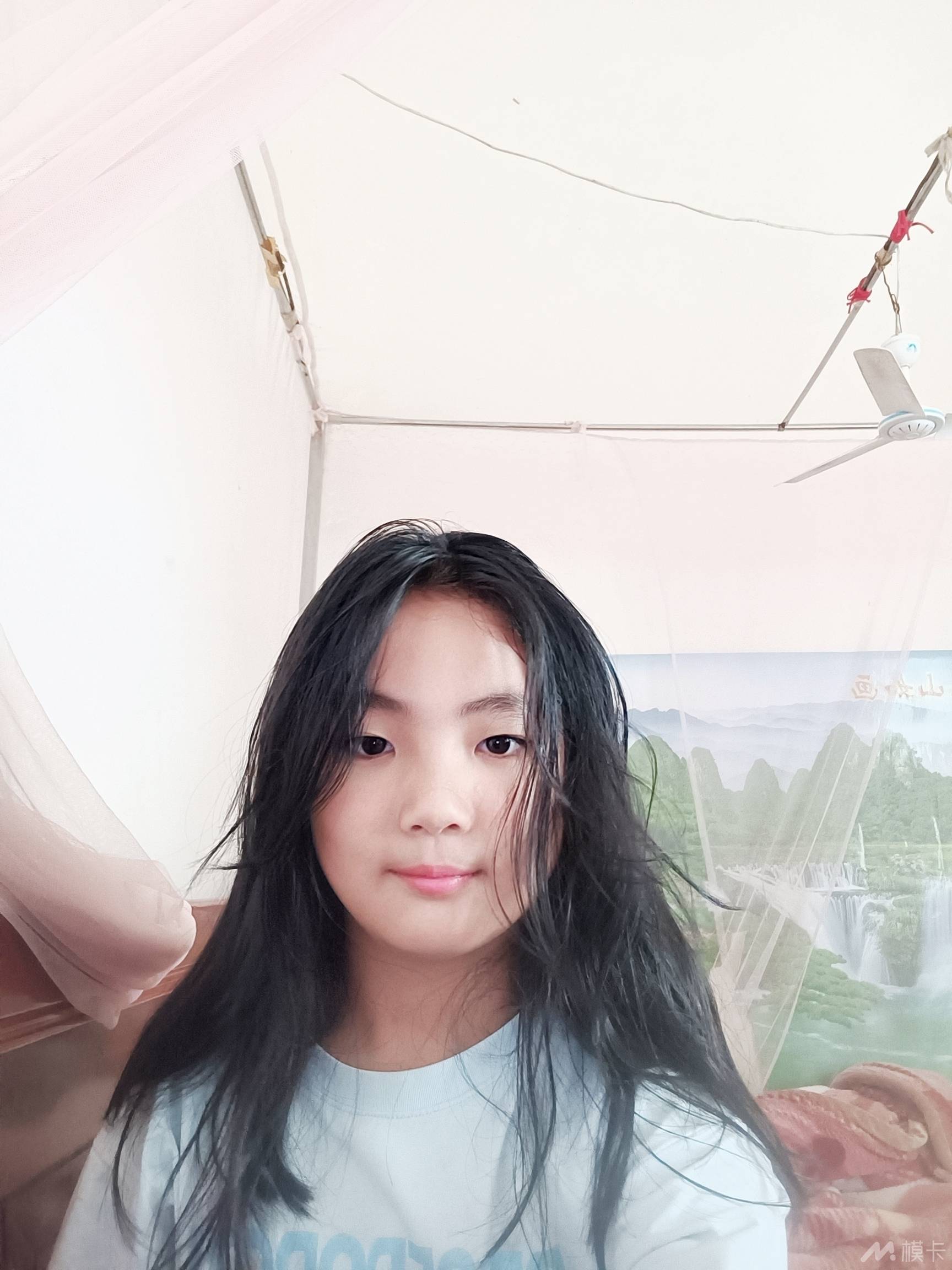 作品图片