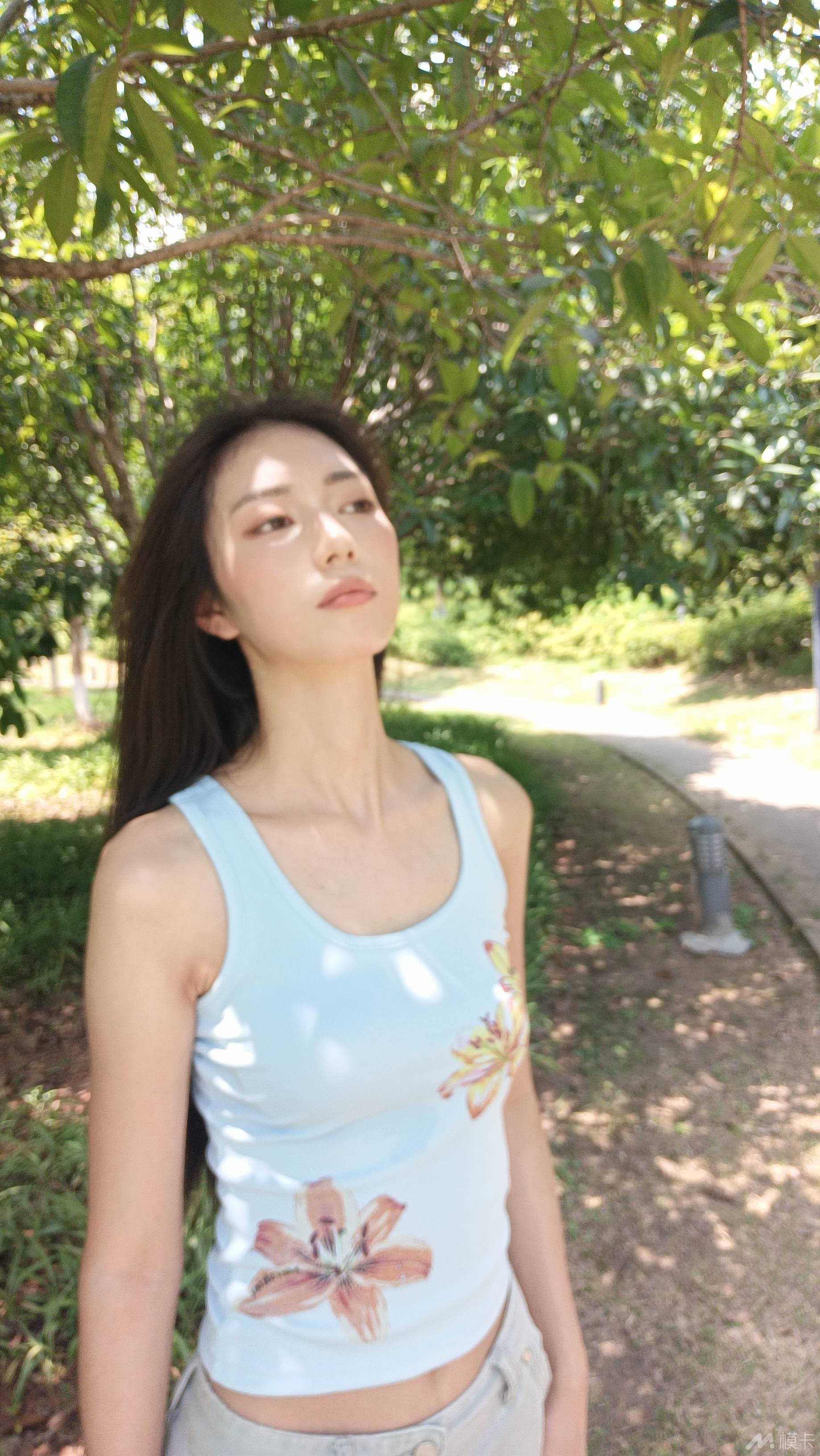 作品图片