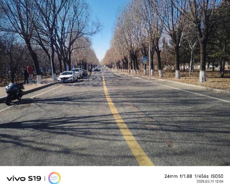 艺人背景图