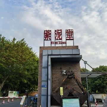 经历图片