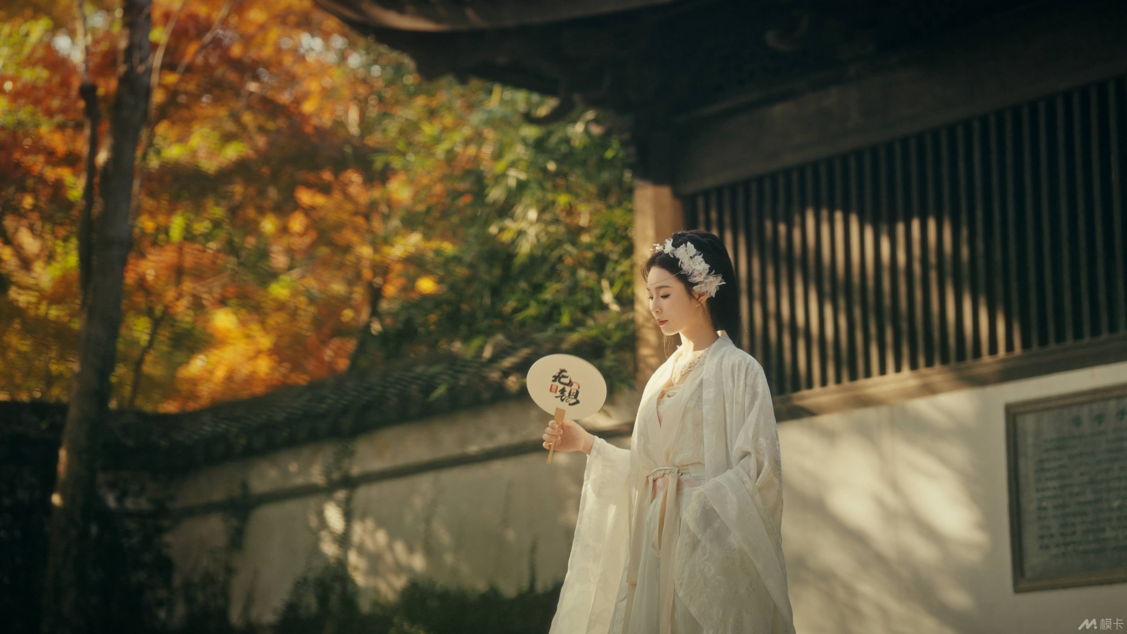 作品图片