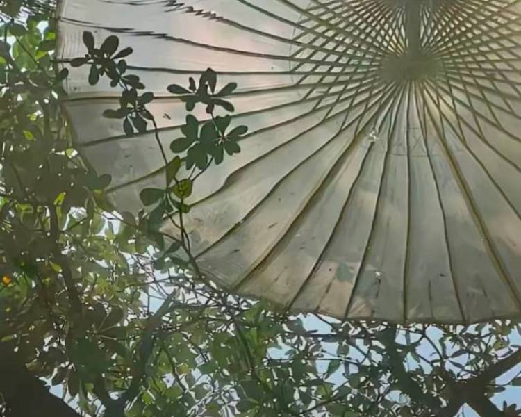 艺人背景图