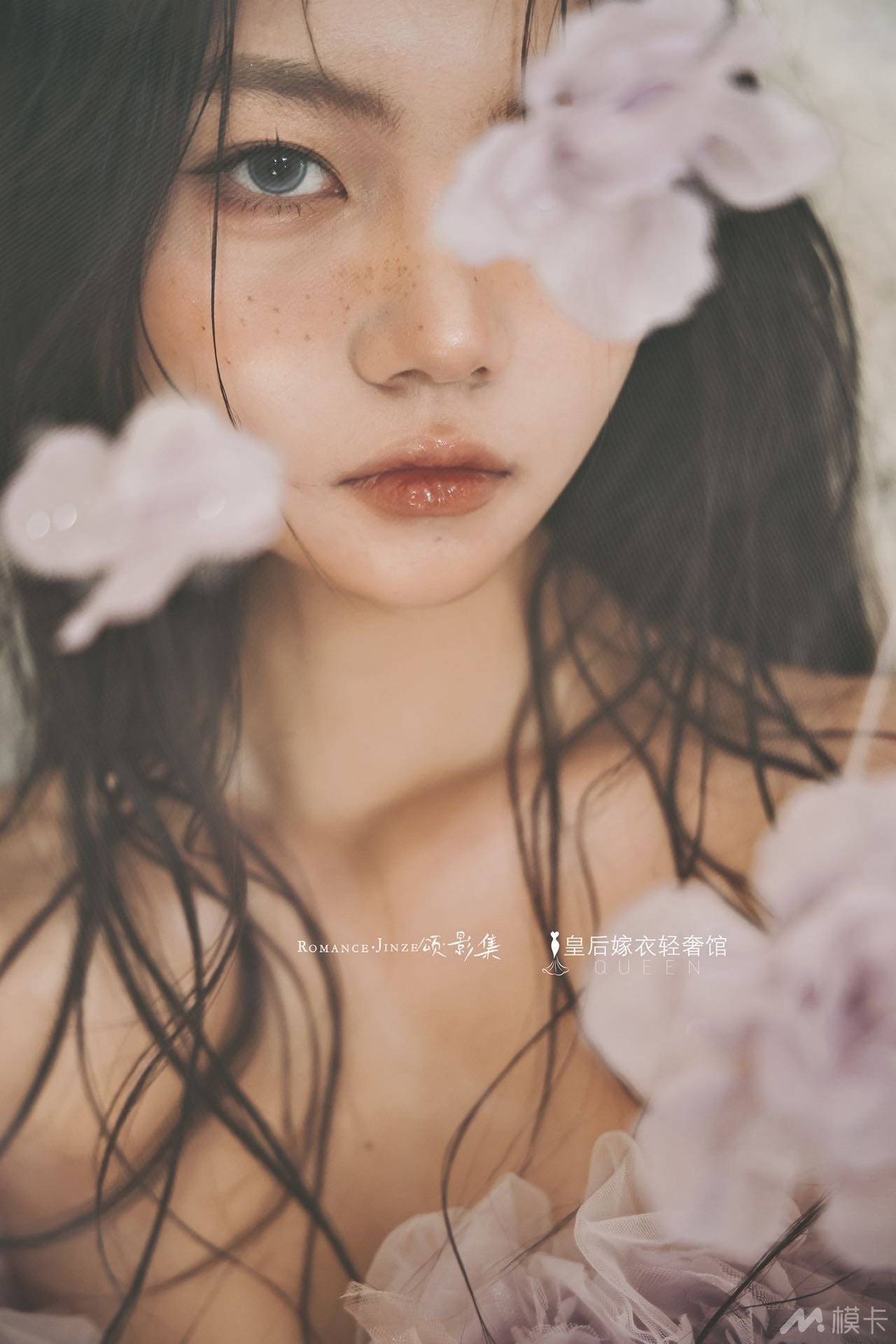 作品图片